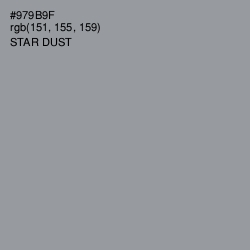 #979B9F - Star Dust Color Image